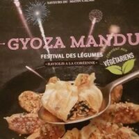 Gyoza Mandu Festival des Vegetables