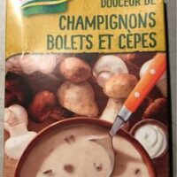 Soup Mushrooms bolets and cepes