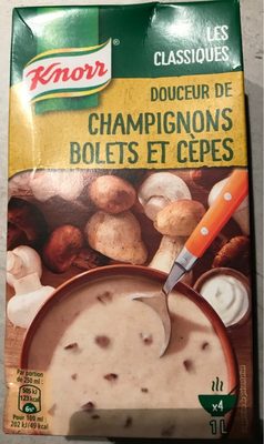 Soup Mushrooms bolets and cepes Soup Mushrooms bolets and cepes