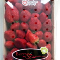 Fraises