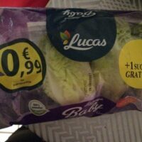 Salades Sucrine