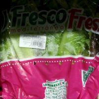 Salad Romaine