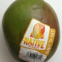 Mangue