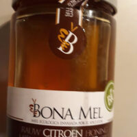 Honey from Lemonnier Bio - 450 G - Bona Mel