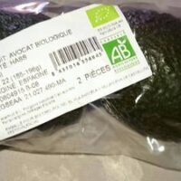 Avocat Organic variété Hass