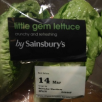 little gem lettuce