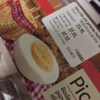 oeufs d'élevage au sol