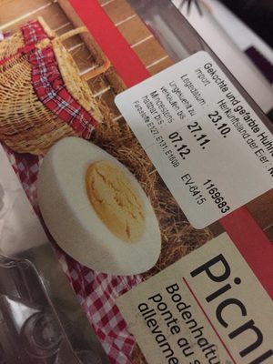 oeufs d’élevage sol oeufs d'élevage au sol