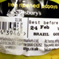 tree ripened papaya
