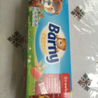 Barny sponge bear - strawberry