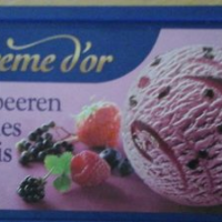 Crème Glacée aux Baies des Bois