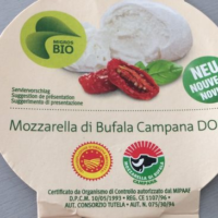 Mozzarella Cheese from Buffalo Mozzarella di bufala