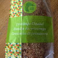 Rondin du printemps