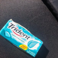 Trident Eucalipto Trident Eucalipto