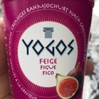 Yogos Figue Yogos Figue
