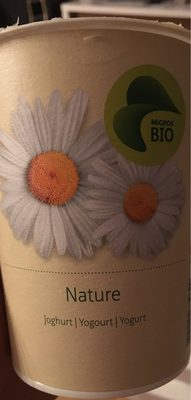 Yogurt Nature yogourt nature