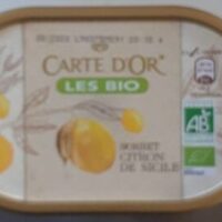 Sorbet Lemon from Sicile Bio Sorbet Lemon from Sicile Bio