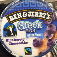 Greek Style Blueberry Cheesecake Greek Style Blueberry Cheesecake