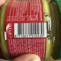 Salsa Sauce guacamole Style