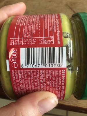 Salsa Sauce guacamole Style Salsa Sauce guacamole Style