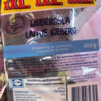 Laitue Iceberg XXL Laitue Iceberg XXL