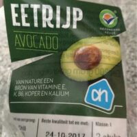 Avocado