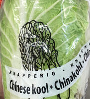 Chou chinois Chou chinois