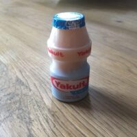 Boisson Lactée Fermentée Light